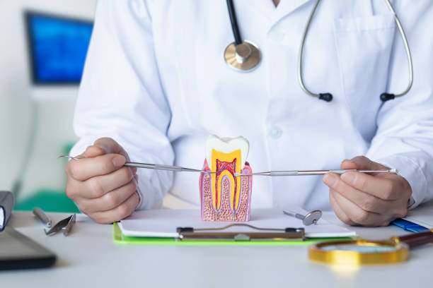 Best Emergency Dental Services for Seniors in Benld, IL